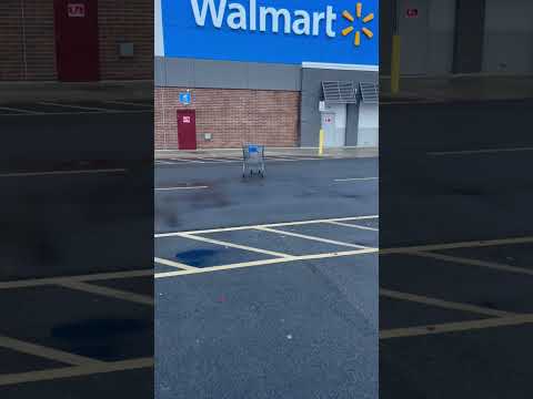 Tabatha Walmart Cart Push