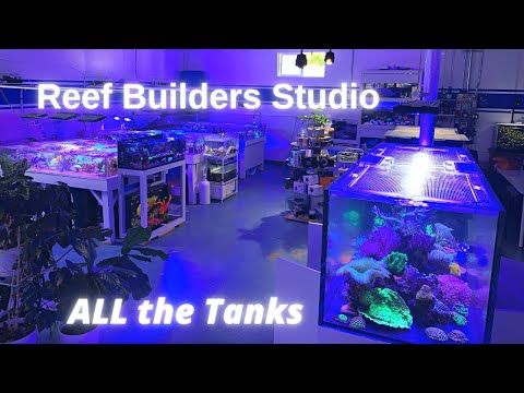 EVERY Display at the Reef Builders Studio