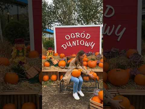 COZY DAY AT THE PUMPKIN PATCH 🧡