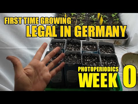 My First time Growing LEGAL in Germany | Week 0 (Start)