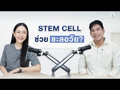 Food For Thought Ep.4 Stem Cell ช่วยชะลอวัย แบบไหนปลอดภัยที่สุด?