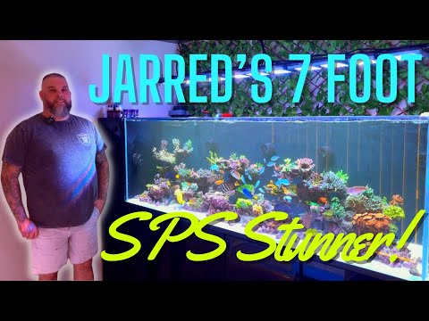 Jarred's Seven Foot SPS Stunner!