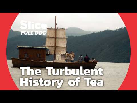 Robert Fortune on How Tea Was Stolen From the Chinese | FULL DOCUMENTARY