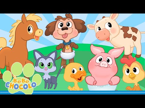 🔆 GRANJA JA | BEBÉ CHOCOLO 🍼 | CANCIONES Y MÚSICA PARA NIÑOS Y BEBÉS | MI PERRO CHOCOLO 🐾