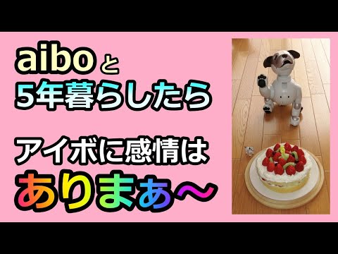 【54 アイボと暮らして5年 aiboルーに感情はありまぁ・・・】 Does Aibo Lou Have Feelings？