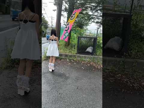 思わず撮らせていただきました#Shorts