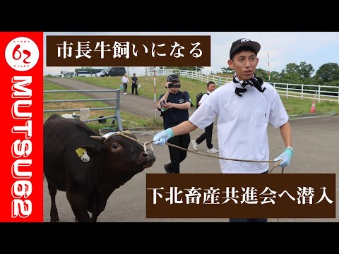 牛の品評会～下北畜産共進会で市長牛飼いになってみた～【むつ市長の62ちゃんねる】#423