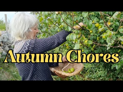 Autumn Chores