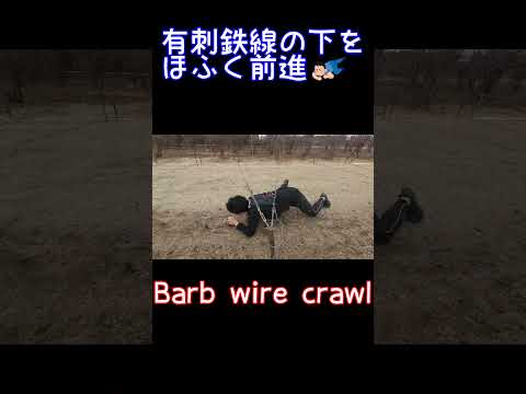 Spartan race obstacle -Barb wire crawl #shorts