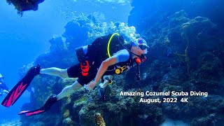 Amazing Cozumel Scuba Diving August, 2022 in 4K