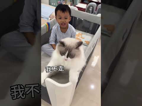 八年前救下小猫咪，长大后用猫生守护这个家 #猫和孩子