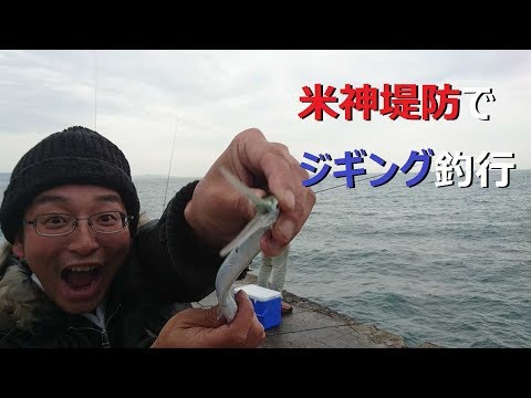 (相模湾＋米神堤防)×ジギング=シイラ、痛恨のバラし