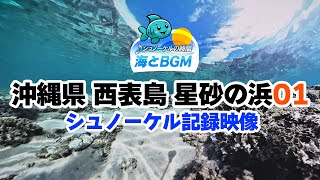 シュノーケル 沖縄 記録映像 西表島 星砂の浜01