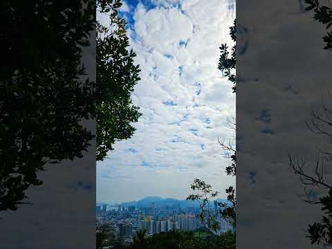 漂亮天空, 雲層像棉花糖, 鷹巢山自然教育徑 #hiking