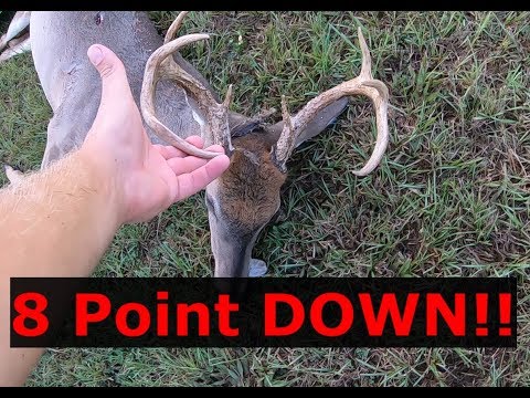 8 Point DOWN!!  Whitetail deer hunting!!