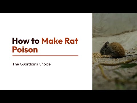 4 Ways to Make Rat Poison | How to Make Rat Poison | The Guardian's Choice