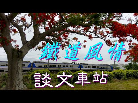 【談文車站 たんぶんこ 隨記】看雲、聽海、沙灘、鐵道風情、綠池鳳凰花  (苗栗中港溪 出海口 南岸堤防 北岸沙灘)。 Music : Day 7 - The End