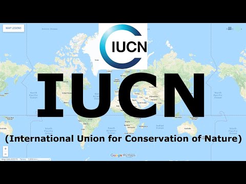 IUCN (International Union for Conservation of Nature) | International Organization | @narviacademy