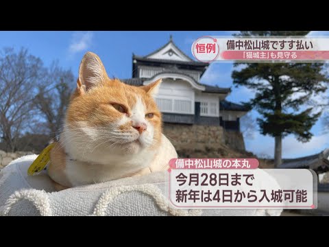 猫城主も一安心　備中松山城で年末恒例のすす払い　岡山・高梁市