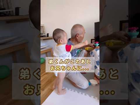 【予想外の展開】1歳弟のちょっかいが大変なことに！3歳兄の倍返しで兄弟バトル勃発！#兄弟 #1歳 #3歳 #shorts