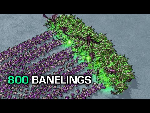 Let's see if 800 BANELINGS beat 60 ULTRALISKS