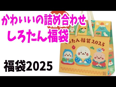 【福袋2025】アザラシの「しろたん福袋」かわいいがたくさん！！！