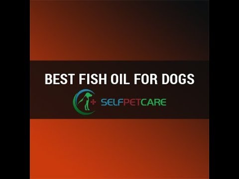 Zesty Paws Pure Wild Alaskan Salmon Oil for Dogs & Cats