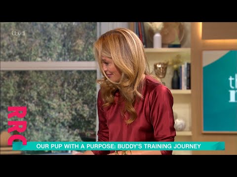 Cat Deeley @slight pok_y in smoky topaz coloured silk blouse