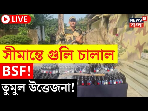 LIVE | India Bangladesh Border : সীমান্তে গুলি চালাল BSF ! তুমুল উত্তেজনা | BGB | Bangla News