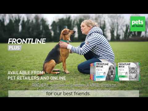 FRONTLINE PLUS flea & tick protection