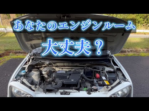 【アルトバン】ボンネットを開けてリベット交換する動画