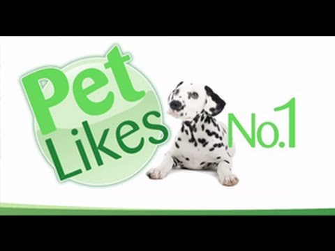 Pet Likes