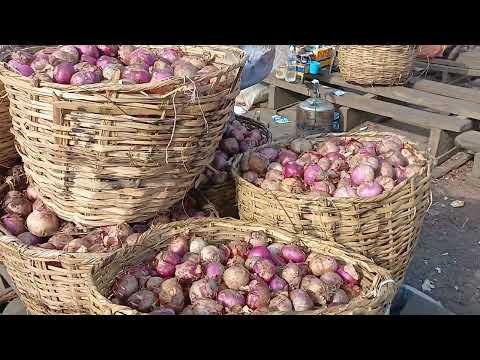 ONIONS ARE SCARCE AND EXPENSIVE AT MILE12 INTERNATIONAL MARKET