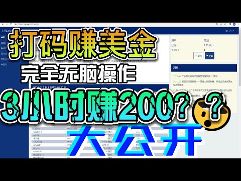 打码赚美金  3小时200美金？？盘他！！