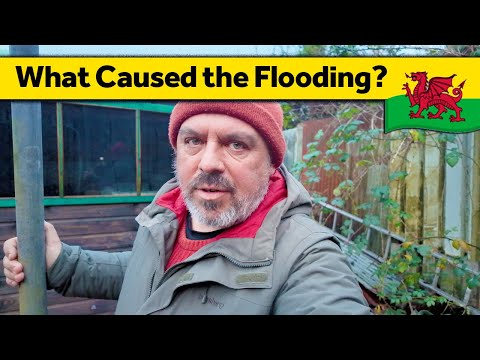 160. Homestead after Storm Bert - Living Alone in Wales (November 2024)