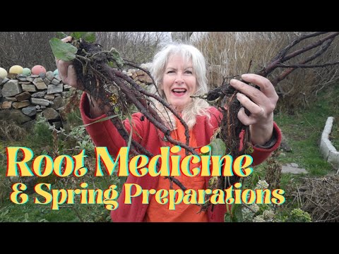 Root Medicine & Spring Preparations