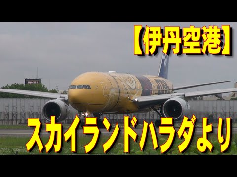 【伊丹空港】 スカイランドHARADAより