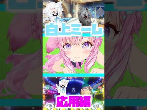 白上フブキミーム【応用編】猫ミーム #ホロライブ #ホロライブ切り抜き #hololive #白上フブキ #shorts