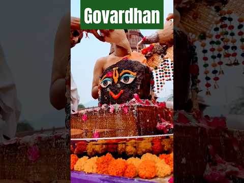 Govardhan Parikrama #govardhan #govardhanpujatrandingvideo #govardhanpujasong