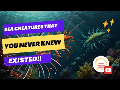 Sea Creatures You've Never Seen Before #oceancreatures