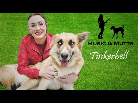 Music & Mutts | Playing Guitar For Tinkerbell Ep. 1