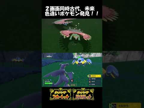 【ポケモンSV】２画面同時、古代未来ポケモン色違い発見！！　#shorts