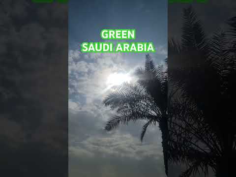 Green Saudi Arabia #beautiful #weather #ksa #environment #green #cities #values #youtube #viralvideo