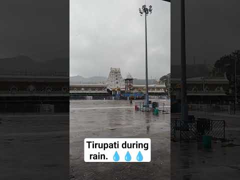 Tirupati during rain.  #shorts #trending #floods