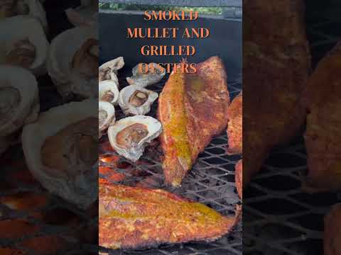 SMOKED MULLET AND GRILLED OYSTERS #youtubeshorts #shortsfeed #shorts #short