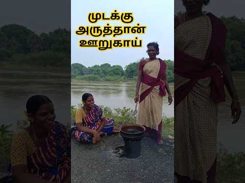 மூட்டுவலிக்கு நிரந்தர தீர்வு முடக்கத்தான் ஊறுகாய்