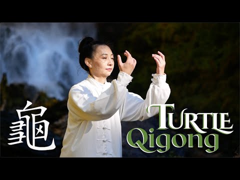 Turtle Walk Qigong with Vivien Chao