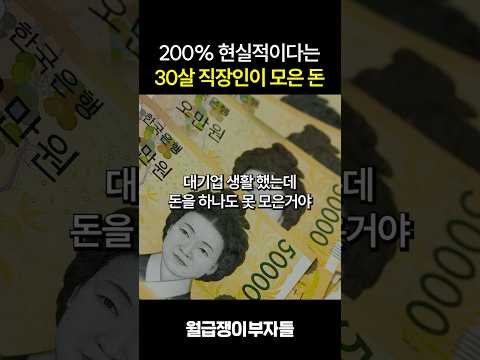 200% 현실적이다는 30살 직장인이 모은 돈