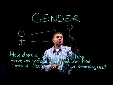 Gender Intelligence | Part 1 of 2: Defining Sex & Gender