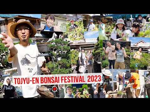 Tojuen Bonsai Festival 2023 situation and impressions [Bonsai Q]